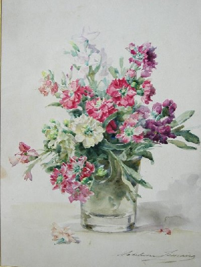 Giroflée dans un vase
