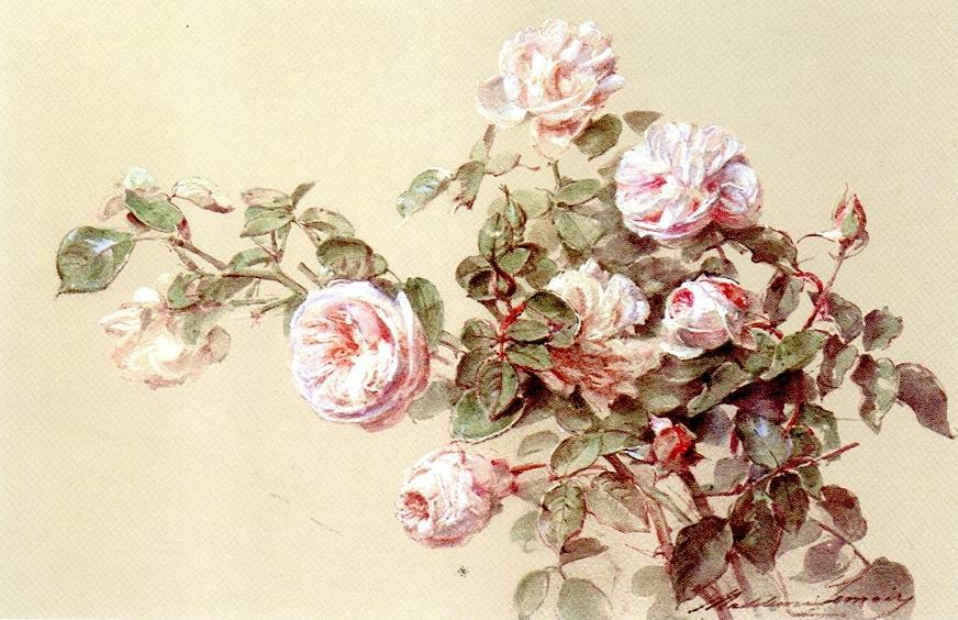 Roses