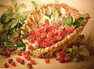 Panier de framboises